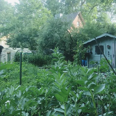 The Red House Holiday home *