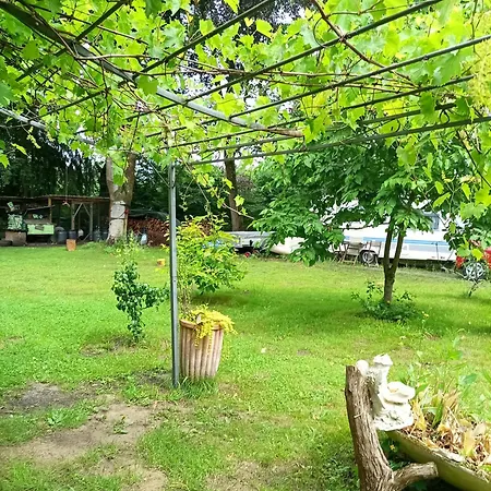 The Red House *